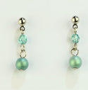 5A020-Simple Stylish Drop Earrings